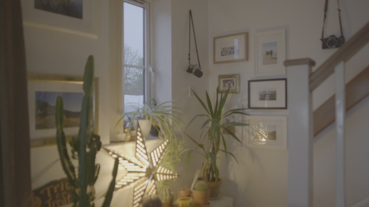 danielpetersdop's tweet photo. I have some fun NEW Dark LUTS coming soon for Vlog and Blackmagic
These were shot with the S1H
#LUTS #colorgrading #moody #film #S1H #vlog #bmdfilm #darkluts #moodyluts #blackmagicdesign https://t.co/R3twWszqgS