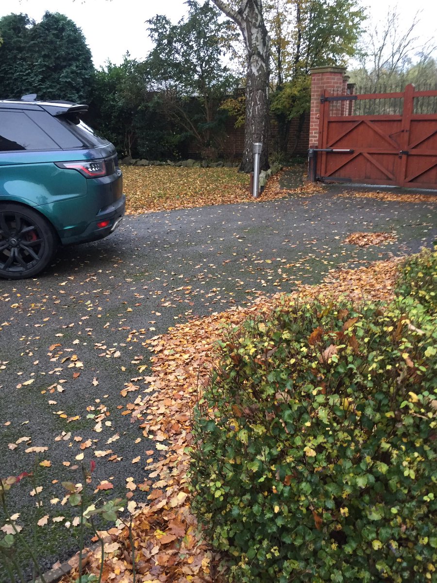 Jongreen1311's tweet photo. Nature 4 me 0.....time to get a man in!! #leafhater https://t.co/D3GqQ0PMkO
