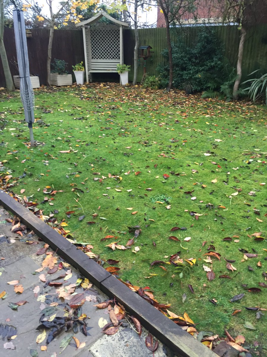 Jongreen1311's tweet photo. Nature 4 me 0.....time to get a man in!! #leafhater https://t.co/D3GqQ0PMkO