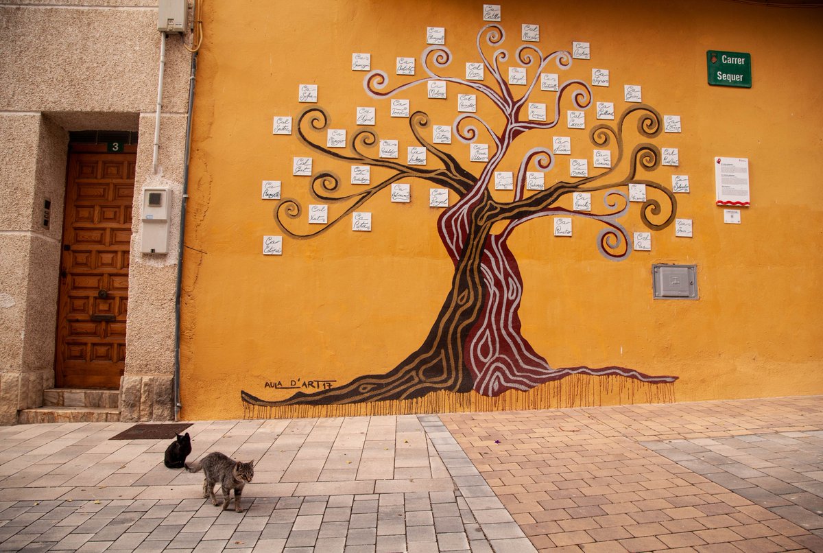 laMartu30's tweet photo. Passeig per Riba-roja d'Ebre tot descobrint les intervencions artístiques de Riu d'Art. 🔝🔝🔝 #riudart #ribarojadebre #ribarocks https://t.co/Runx41prjW
