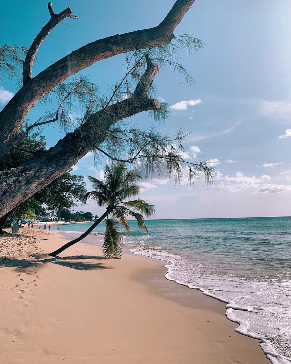 Let's escape the ordinary. 🌴🌊 #Barbados #BeachViews