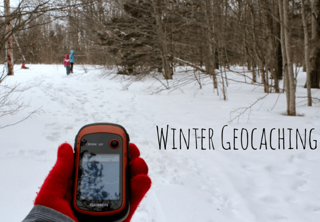 MN_Nature's tweet photo. MN Nature Week Activities: Dec 2-8 https://t.co/3Nmc9dKbF5 https://t.co/Onh5Kio2bP