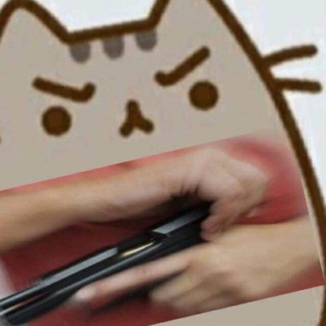 Nobody:
Pusheen: PUT YOUR HAND UP OR ILL SHOOT