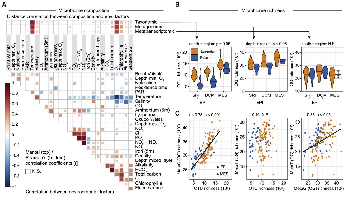 mmw_lmw's tweet photo. Global #OceanMetaTranscriptome | Partitioning of Global #OceanMicrobiome Compositions | Shinichi Sunagawa @ETH_en @CellCellPress https://t.co/Fgtq95vgyv https://t.co/qSbc3WZPPW