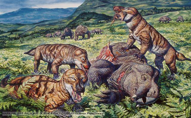 CErSE_US's tweet photo. Day16—#30DayEarthHistory—Triassic Per.—252-201mya
THE AGE OF #REPTILES!
Pangaea: dry/hot, little coastline
Rise: precursor #dinosaurs &amp;1st mammal
Few marine species/coal gap/lack swamps(Perm Ex) 
EXTINCTION! Pangea breaks #climatechange=22% marine families/many land species https://t.co/KIM3LXiNLf
