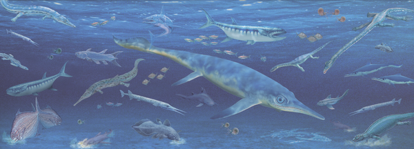 CErSE_US's tweet photo. Day16—#30DayEarthHistory—Triassic Per.—252-201mya
THE AGE OF #REPTILES!
Pangaea: dry/hot, little coastline
Rise: precursor #dinosaurs &amp;1st mammal
Few marine species/coal gap/lack swamps(Perm Ex) 
EXTINCTION! Pangea breaks #climatechange=22% marine families/many land species https://t.co/KIM3LXiNLf