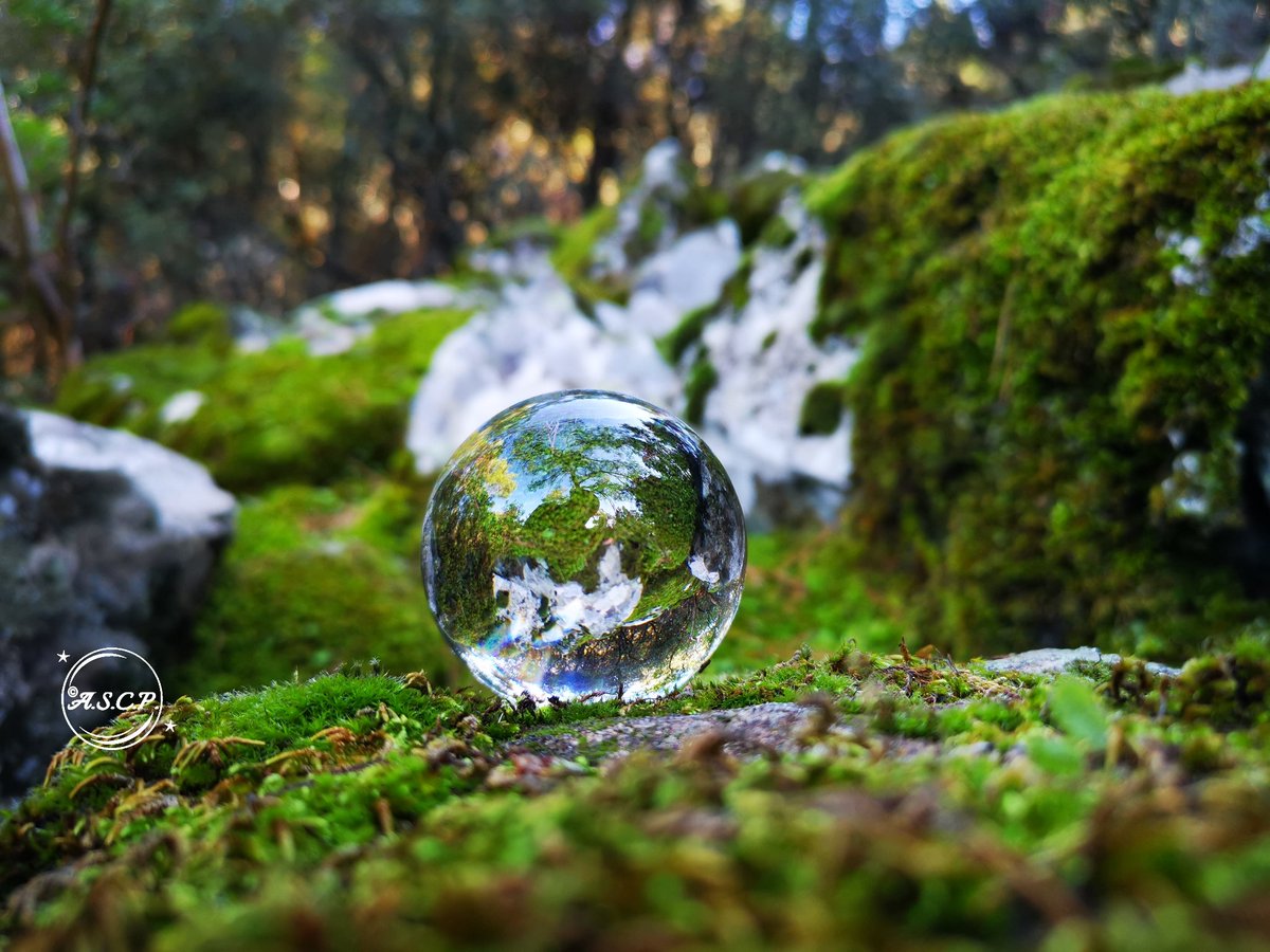 ANTREAS_SK's tweet photo. I Love Cyprus.... #love #Cyprus #instagram #mountain #photo #throughthesphere #Sphere #photography #tree #crystalball #hiking #forestgreen #crystal #green #sky #photo #photography #forest #instapicture #nature #naturelovers #travel #traveling #buetiful #CrystalBallCyprus https://t.co/vqNvx9FJR0