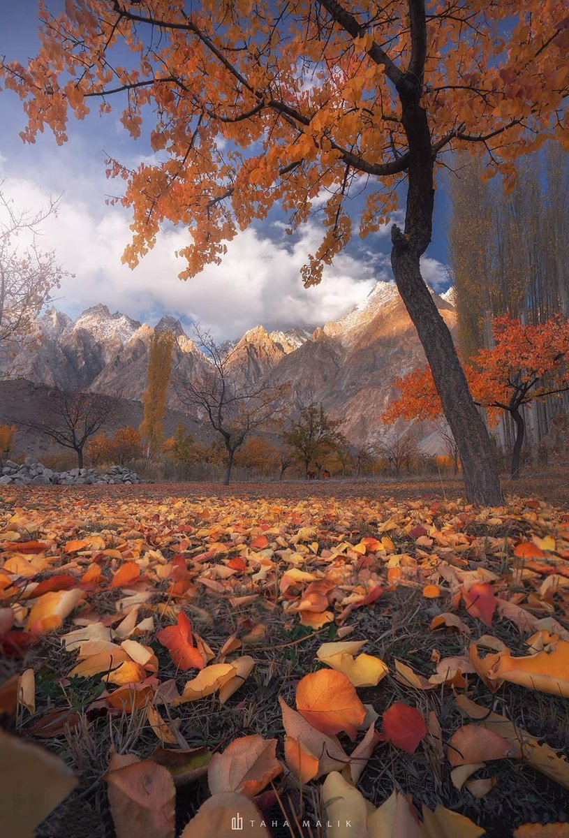 PakistanNature1's tweet photo. Passu Cones in Autumn as seen from Passu, #GilgitBaltistan #pakistanitakeover #SundayThoughts #PakistanZindabad https://t.co/95rBVZdTOk