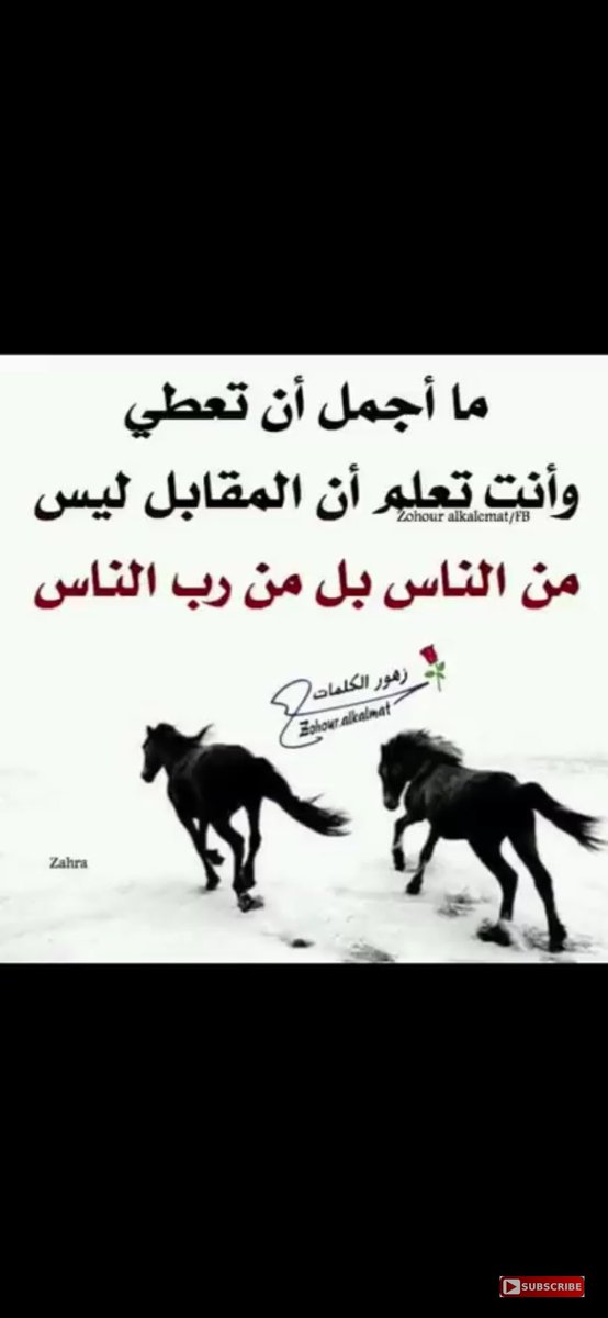 __iii66's tweet photo. https://t.co/kvXkB8OZpR