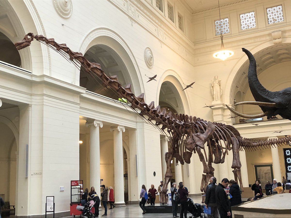 latinalupe's tweet photo. Sunday funday! Getting my history on! Field museum visit.
#HelloMaximo https://t.co/60xcaXJXJY