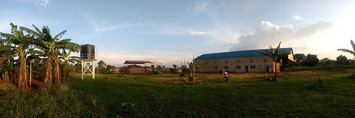 Lucas_Muzungu_'s tweet photo. #Lifework materializing. 8.5 years summarized in one picture. #almostthere. Besides the pineapple juice ๐, we are currently looking into the option of providing (very) affordable water for the local community. #Ssemu #YesWeCan https://t.co/w5AD8oTeJF