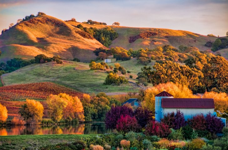 eagleeyelimo's tweet photo. There's definitely a chill in the air, but this is a great time for wine tasting tours: https://t.co/bIx4dEywEI https://t.co/EvUeVAADpj