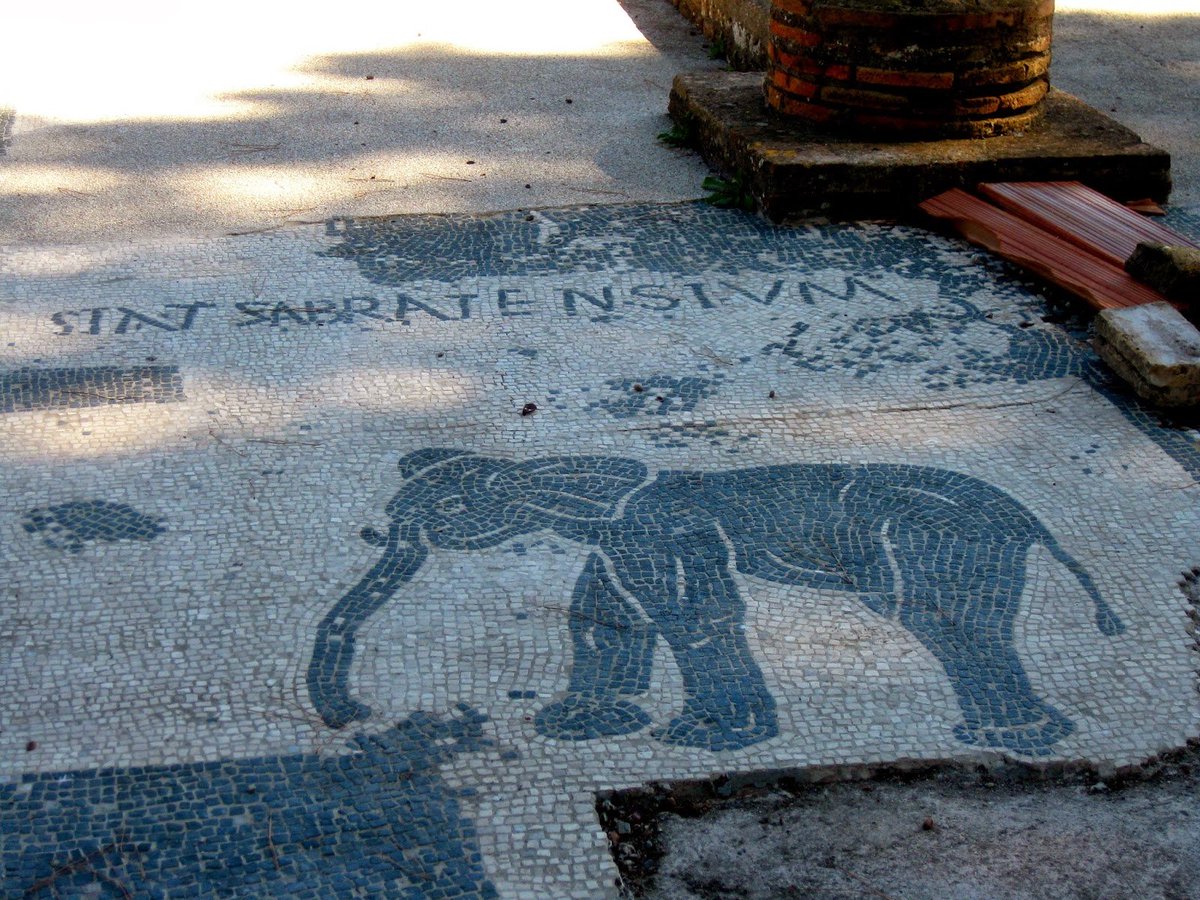 Libyanhistory's tweet image. 2
ولقد زينت أرضياتها بعدد كبير من لوحات الفسيفساء تجسد مشاهد لأنشطتهم من بين تلك المشاهد يظهر مشهد لـ "فيل" كتب فوقه اسم مدينة "صبراتة" ويعتقد أنه كان لمتجر يملكه شخص مختص باستيراد البضائع من مدينة صبراتة الليبية.