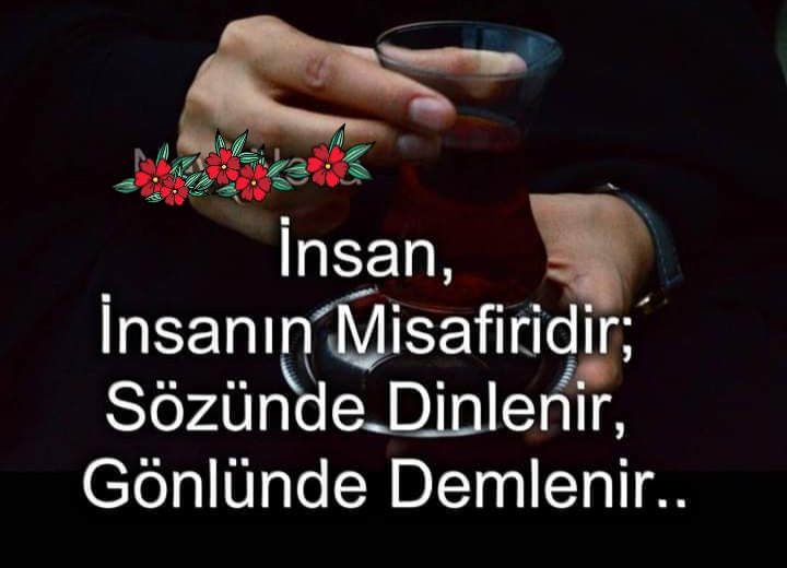 SalihACA11's tweet photo. #İyi #Geceler https://t.co/lHYKYlyjRK