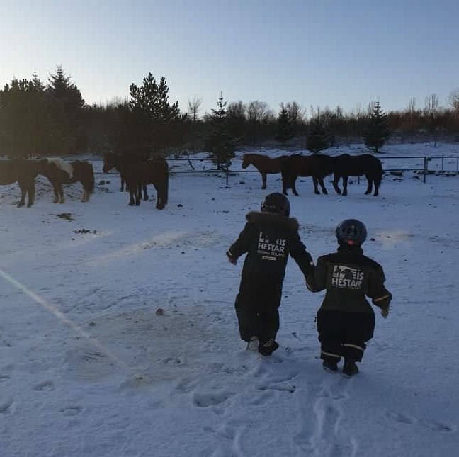 ishestarriding's tweet photo. Our youngest riders today, had so much fun today! 🐴 Afterwards they warmed up with hot cup of chocolate.  ☕
Read more about the tour here: 👇👇👇
https://t.co/E3IDiIxmDv 
#ishestarriding #FamilyAdventure #Icelandichorse https://t.co/AmFkntpjUO