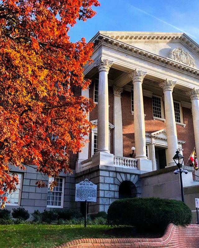 Getting all the autumn vibes when visiting family recently in Annapolis 🍂