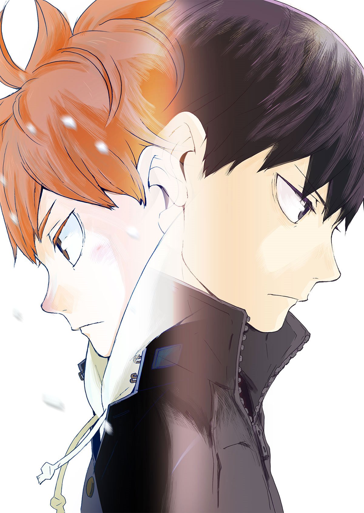 Haikyuu!! Season 4 Opening & Ending Themes Revealed - Otaku Tale