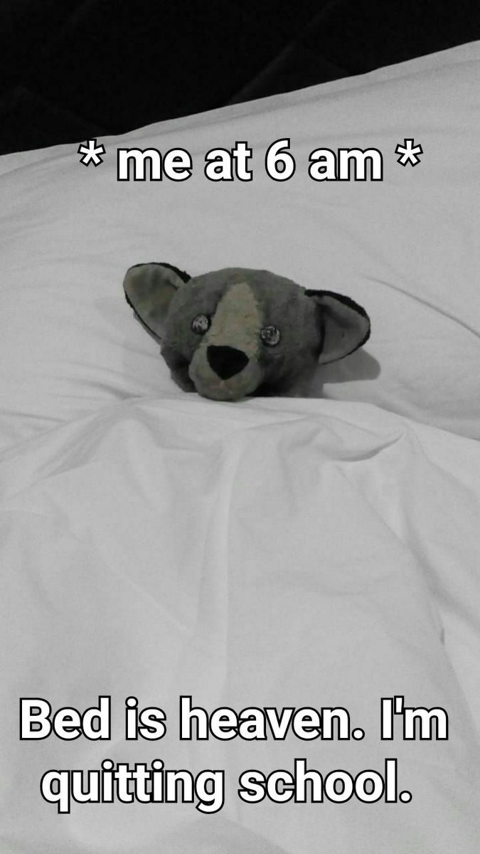 MabilaThe's tweet photo. Sleep is always a stranger to...until 5:59am #bedislife #ucantrelatemore https://t.co/v0ULQaDtxE