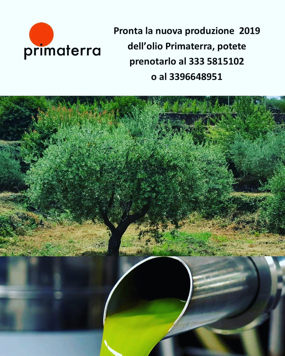 Camillo Privitera (@camilloprivite2) on Twitter photo 