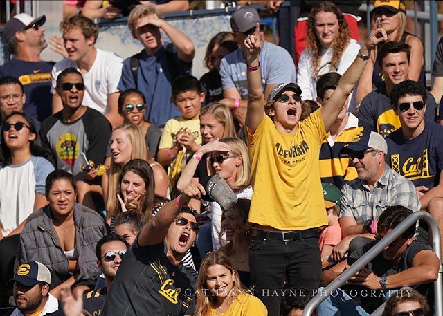 Bears cheering on Bears. 11/16/19 California vs USC Berkeley, CA #waterpolo #wasserball #sportsshooter #sportsphotography #vizilabda #pallanuoto #cal #gobears #calalumni #sonyalpha #sony ift.tt/32QTyjb