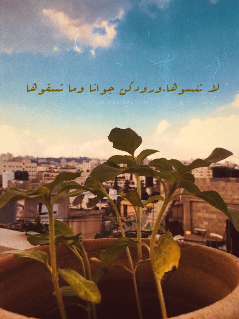لا تنسوها ..ورودكن جوانا وما تسقوها