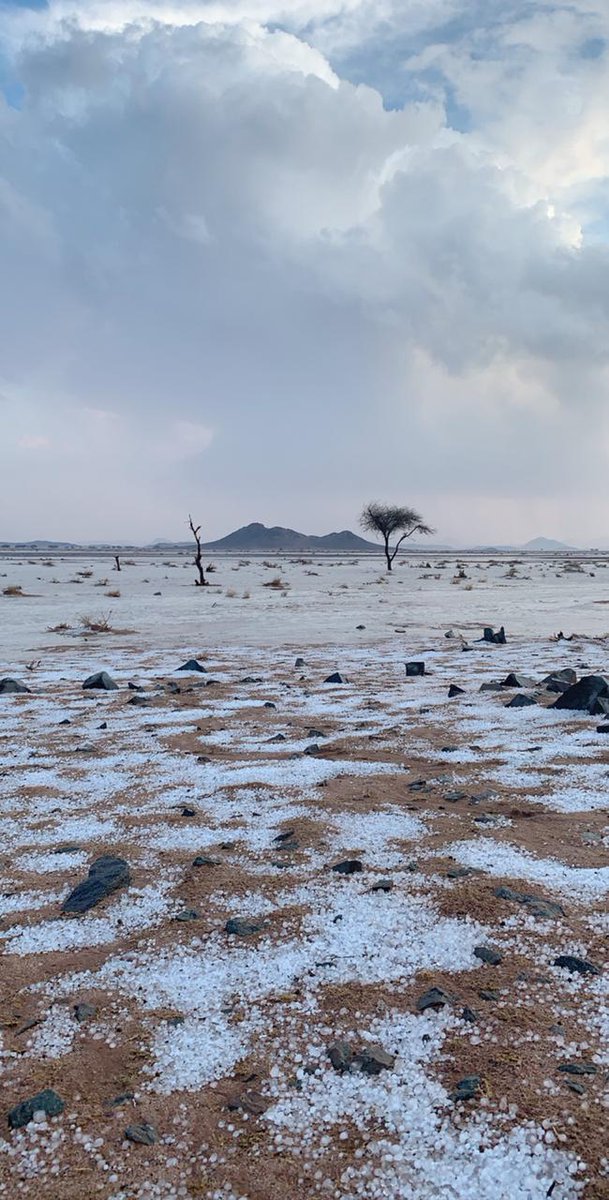 طقس حائل