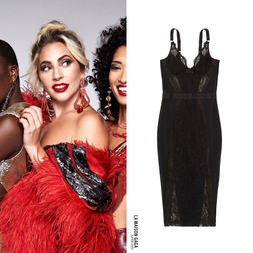 LaMaisonGaga_'s tweet photo. New @hauslabs promo photo! #LadyGaga wears the @TheMissAP "Carmella" lace dress (with the straps pulled down), vintage showgirl marabou sleeves from @thelastfollies1 and crystal earrings by #LeCielDesign. https://t.co/r4JgFnnpnc