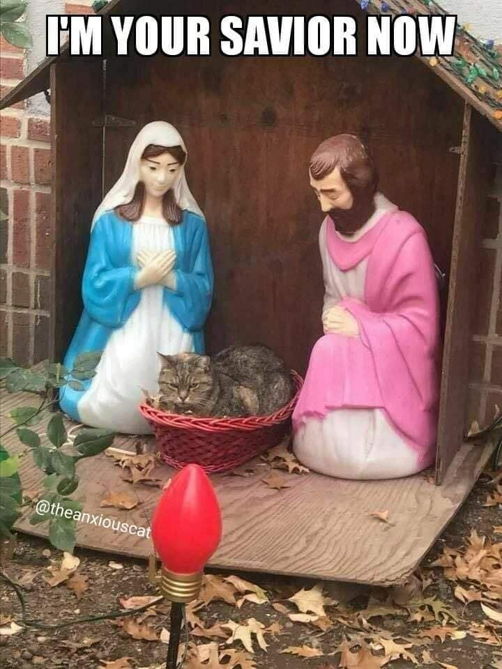 AtheistRepublic tweet picture