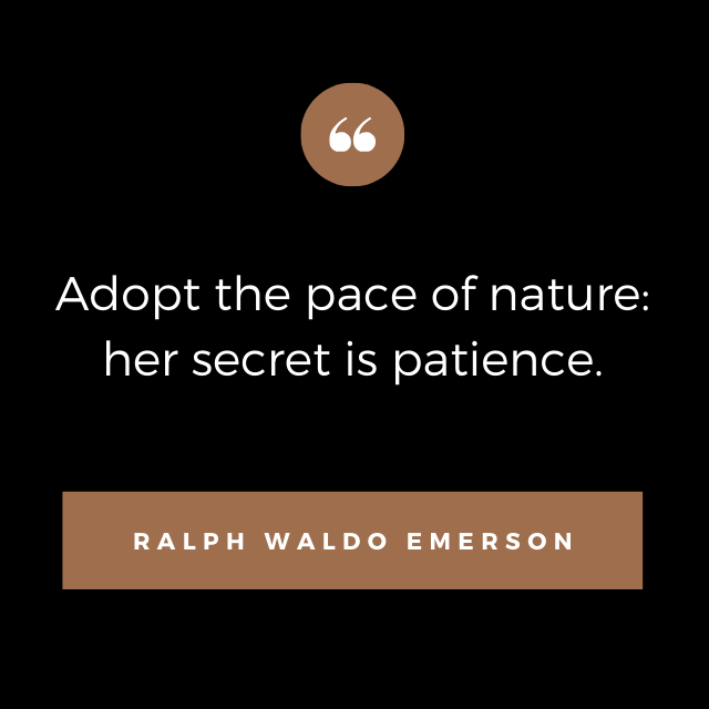 BackSideBuds's tweet photo. Inhale. Exhale. 
Follow mother nature’s lead, it’s time to slow down.

#cannabiscanada
#BSBcanada
#wellness
#nature
#naturelover
#cannabisculture https://t.co/iAEOMIEZei