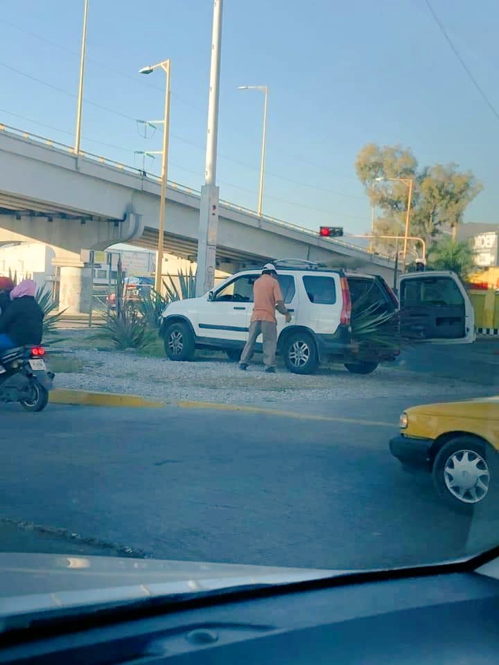 Dorian3scobar's tweet photo. La delincuencia está tan cabrona que cada día se ven cosas peores. Ahora hasta las plantas se roban y las autoridades no hacen nada @MunicipioSeguro
#Oaxaca 
¡Que poca su madre!
#Magic_Island 
#mepaso 
@Oaxaquita https://t.co/P5xe0cqQ4w
