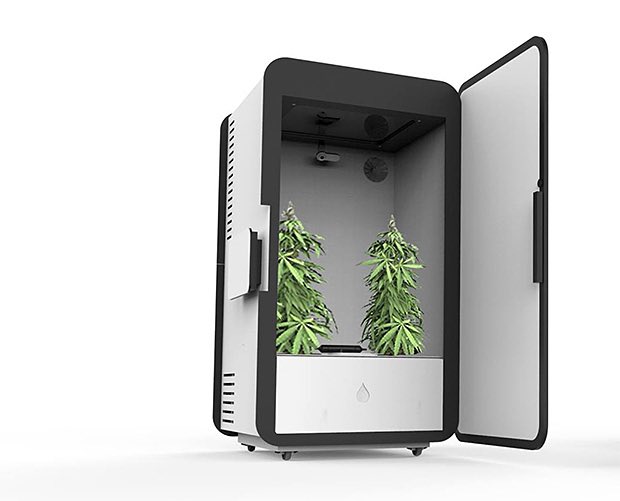 Шкаф с марихуаной все о том как вырастить коноплю