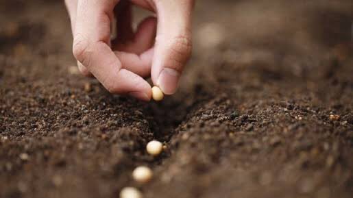 Amedia_ID's tweet image. Biji yang kita tanamlah yg akan tumbuh menjadi pohon kehidupan.
Setiap cara pandang itu mekar dari biji yg digali lalu disiram saban hari dan diberi nutrisi.

Dari biji yang kita tanam itulah cara pandang kita pada dunia akan dilahirkan. Tanamlah yang terbaik!

Selamat Pagi...❤️