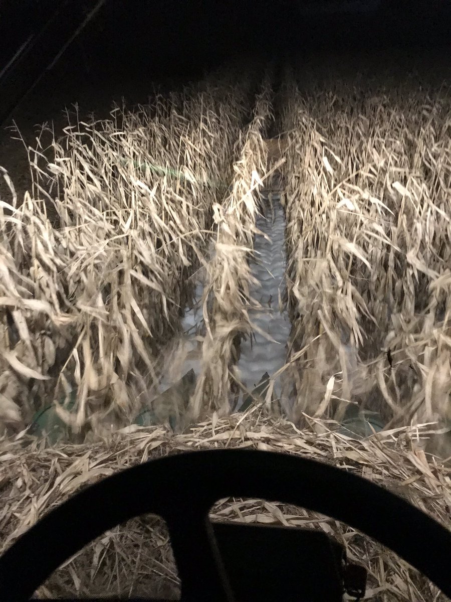 ‘Tis a lovely evening for #harvest19