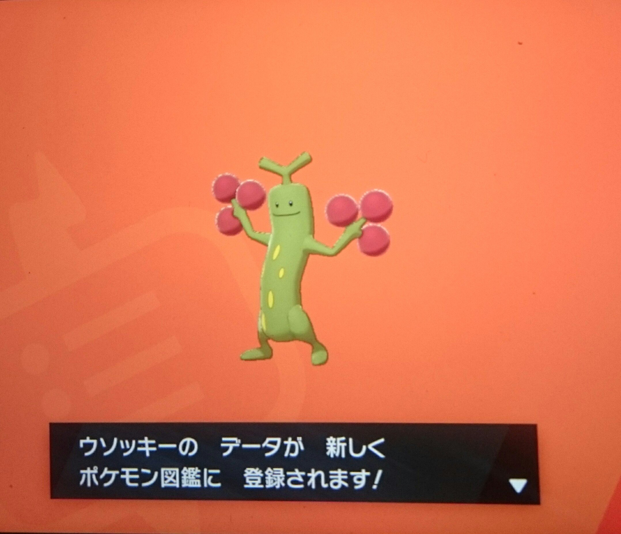 怪盗シン ウソッキーの 色違い ゲットだぜ 色違い２匹目 ポケモン ポケモン剣盾 ポケモンソード シールド T Co Tp2yhdtxhc Twitter