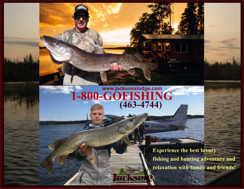 jacksonslodge's tweet image. Fall Newsletter 2019!
@jacksonslodge  #fishwithus