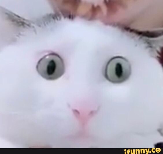 DallasTech2's tweet image. when u put it in her poopy hole