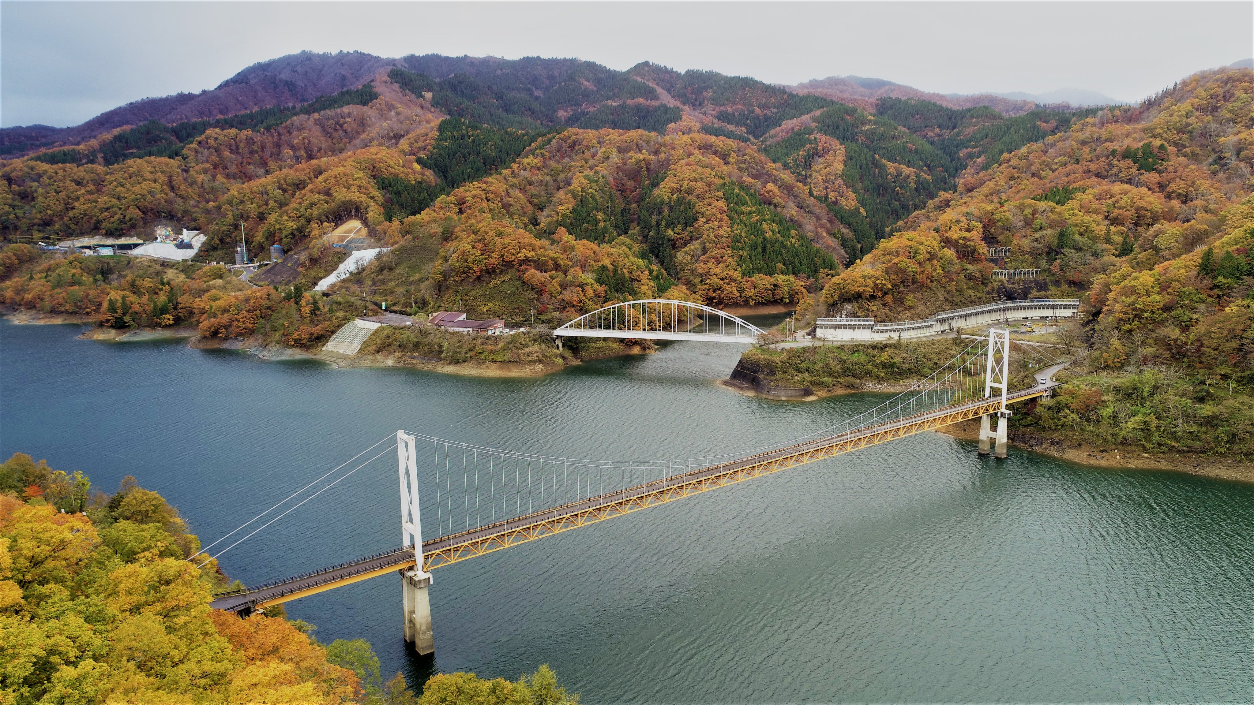 国土交通省 福井河川国道事務所 九頭竜湖周辺の紅葉が見頃 九頭竜湖周辺の紅葉がとても綺麗です 手前の吊り橋は瀬戸大橋のモデルとして建設された 夢のかけはし 箱ヶ瀬橋 です 左奥が建設中の大野油坂道路で トンネルや橋の工事などを行っ