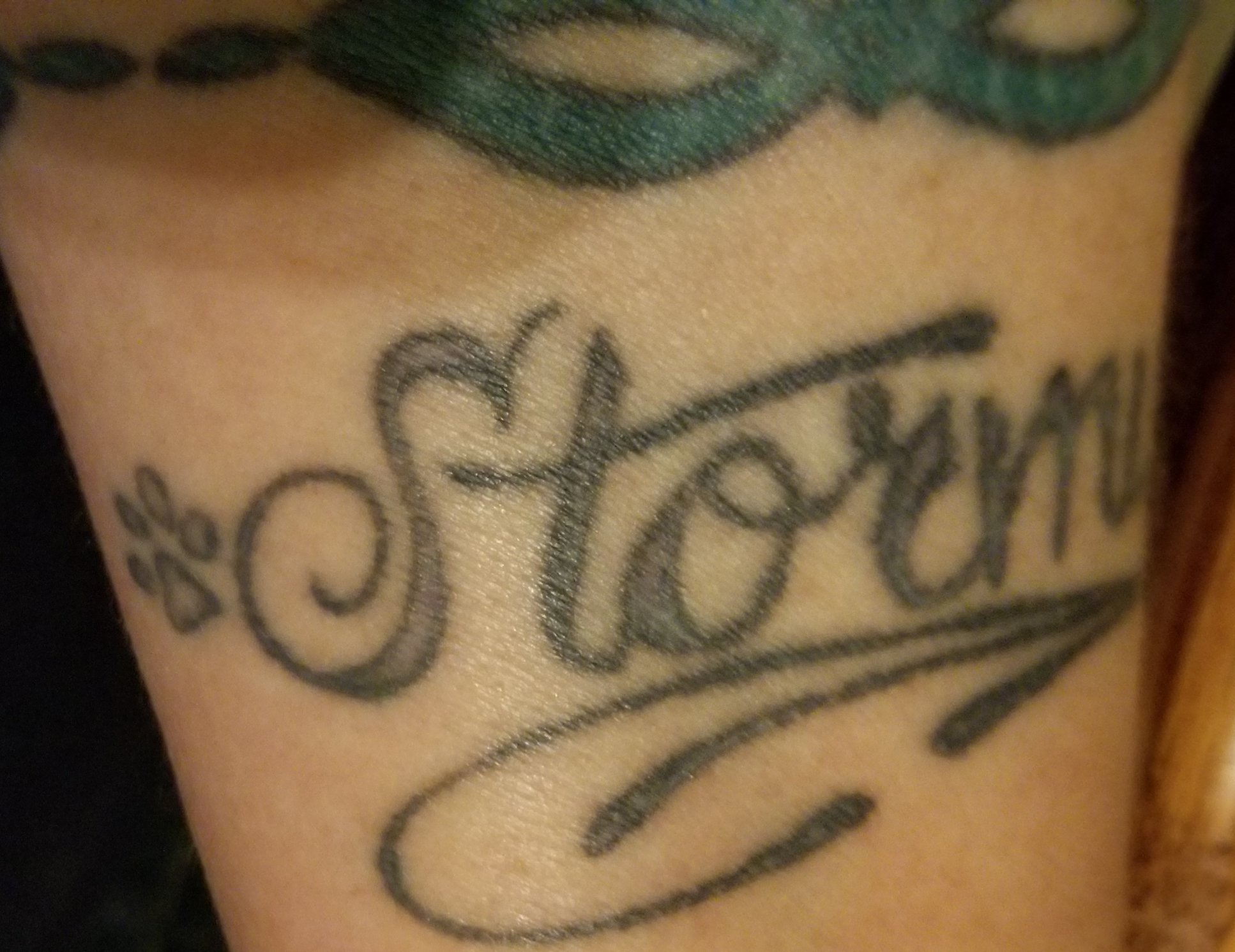 Jacquelyn Middleton Honouring Zoey With My First Tattoo Last Night Being A Writer A Typewriter Font Seemed The Perfect Choice Of All The Stories Zoey Was The Most Loving Most Fun I