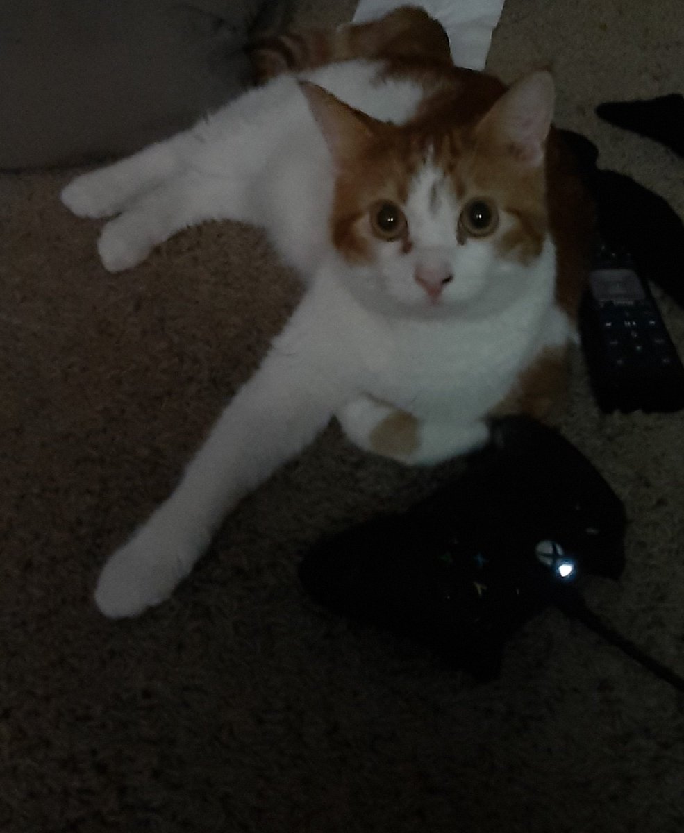Icantdie6's tweet photo. More moon gaming https://t.co/vgXx6Budqv