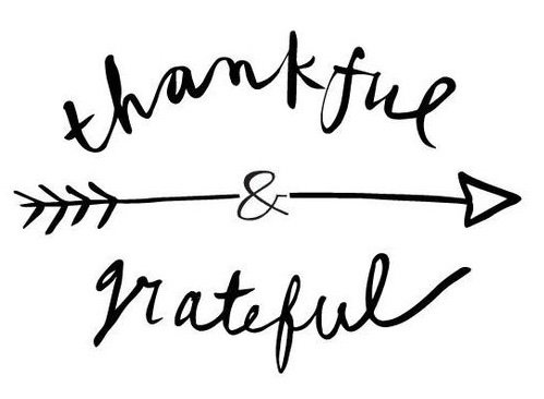 Check out out November events and activities here: gem.godaddy.com/s/2ee4af via <a href="/GoDaddy/">GoDaddy</a>