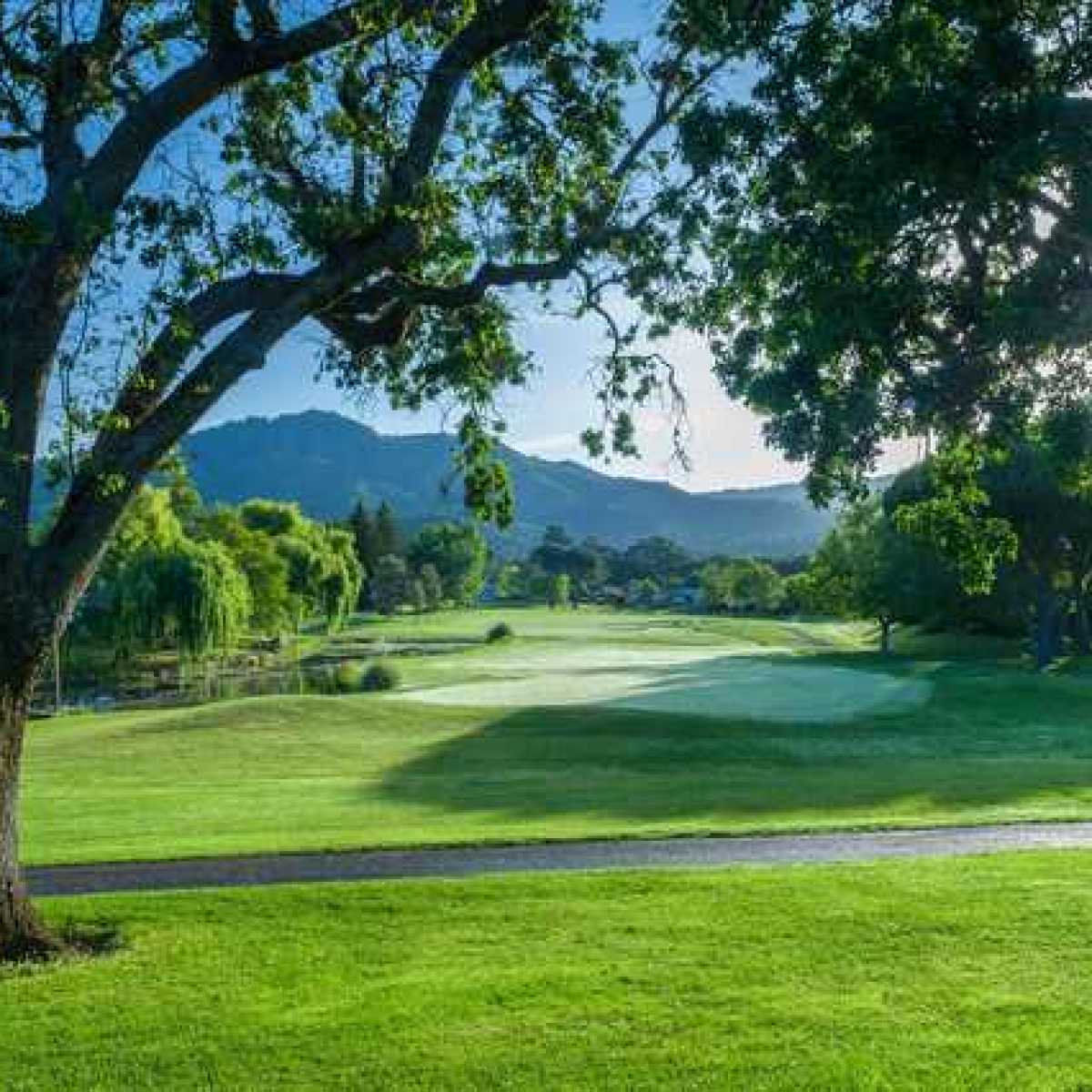 playvom's tweet photo. Tell us about your most recent round with us! Review us on Golf Advisor: https://t.co/LifNmAY44f #OakmontGolfClub #GolfAdvisor https://t.co/2Gd1VsIJJT