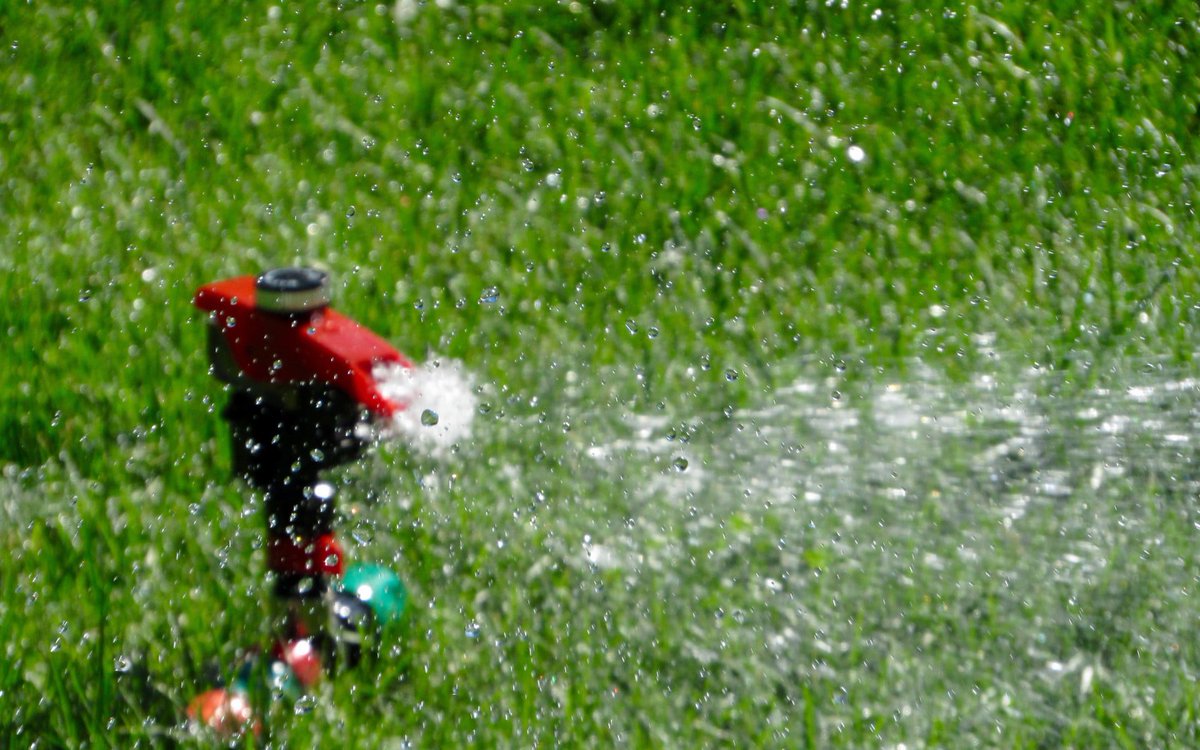 Is your #gardenirrigation system in desperate need of repair or adjustment? 

Turf Green can help. We design and install #domestic and small #commercial #sprinklersystems, including micro irrigation systems and drip feed #irrigationsystems.

turfgreen.com.au