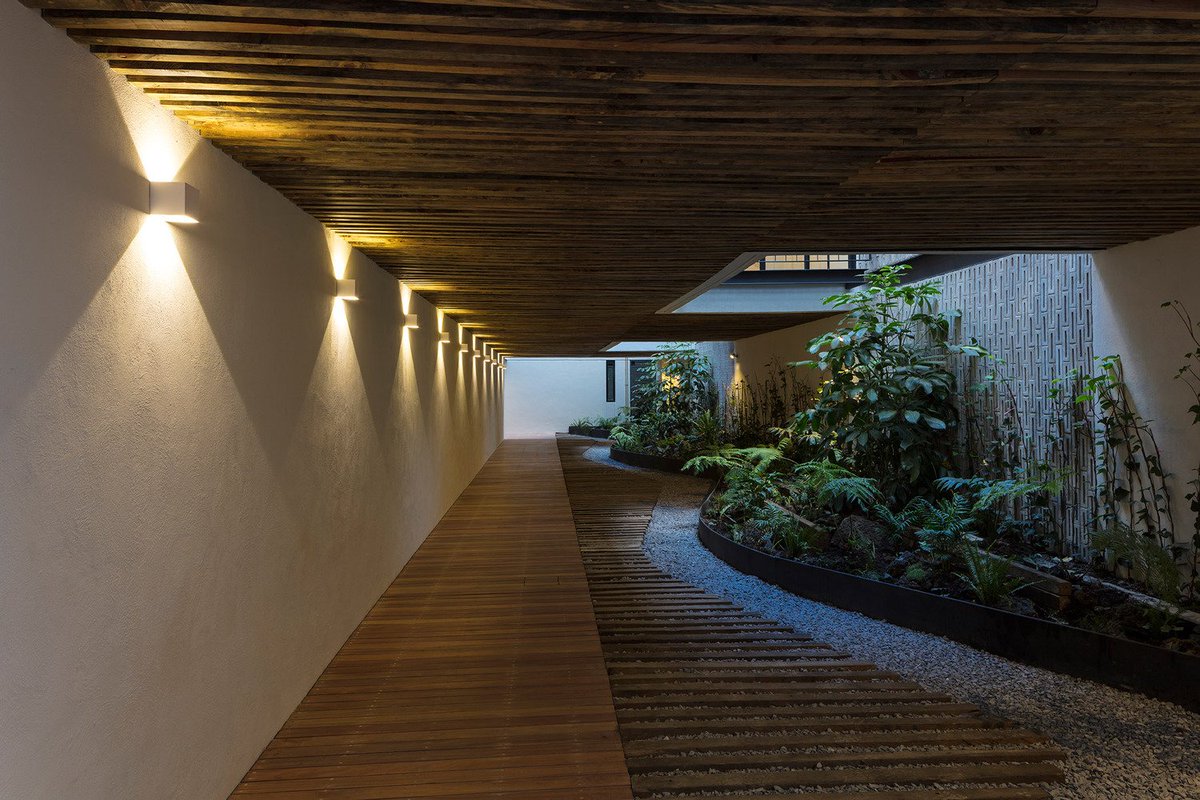 VENDIDO | Iluminación y vegetación Fresno 176 | @voxarquitectura #welt #bienesraices #realestate #inmobiliaria #asesoriainmobiliaria #inversionistas #concreto #arquitectura #architecture #archilovers #archdaily #gordoafotografia #love #mexico #mexicocity #santamarialaribera