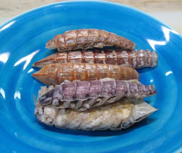 @youko_rou 東京で食べました！（写真は拾いもんです） 