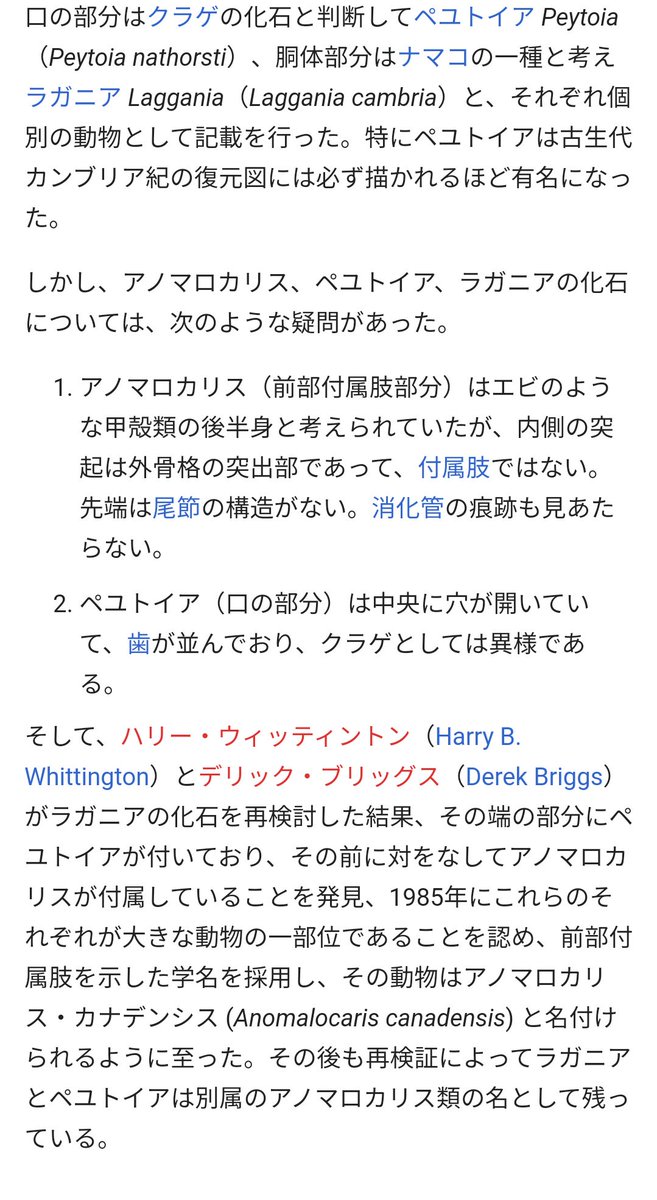 Zyun W はあーこういうのもあるんですねー ぶっちゃけこれだと右下化石ポケモンが顔の向きさえ間違ってなければ完全体な気がしてきましたね