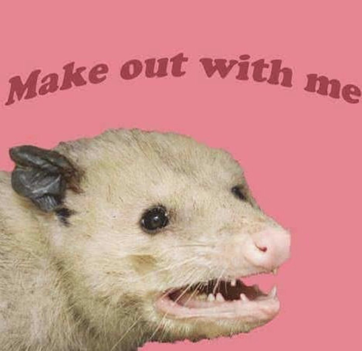 UltimateGodd's tweet image. Me @ Amara
Me @ Moze
Me @ Moxxi
Me @