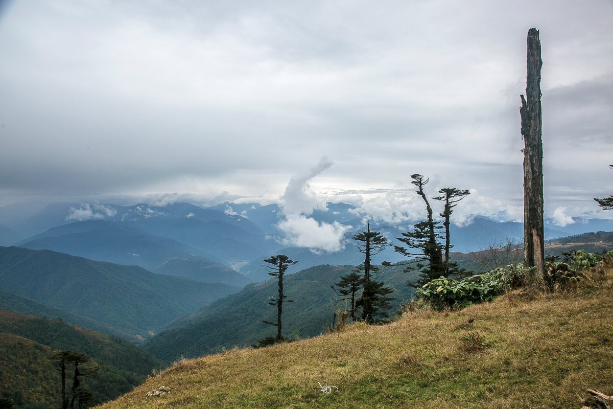 #GoodMorning

“No one cares how much you know, until they know how much you care.” – #TheodoreRoosevelt

#MondayMotivaton #Arunachal #Mandala #MandalaTop #108Mane #WestKameng #VisitArunachal