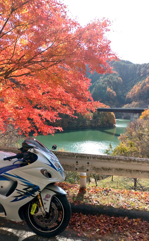 Hayabuta55's tweet photo. 日本の秋と日本のバイク2019😊
日曜休みで出掛けるのが億劫でしたが、今季まともな紅葉を見てないので晩秋押し迫る長野県・もみじ湖へ行ってきました！
名所もみじのトンネルは落葉が進んでしまってますが充分見応え有り🍁
昼食は辰野町まつくぼの特製ソースカツ丼が超～食い応え有りでした！😵 https://t.co/7cPJ0vhMpM