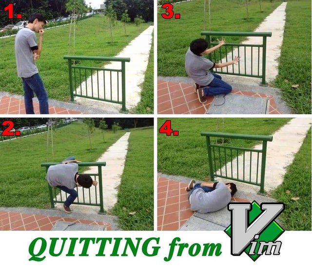 When new Linux/Unix user try to exit vim