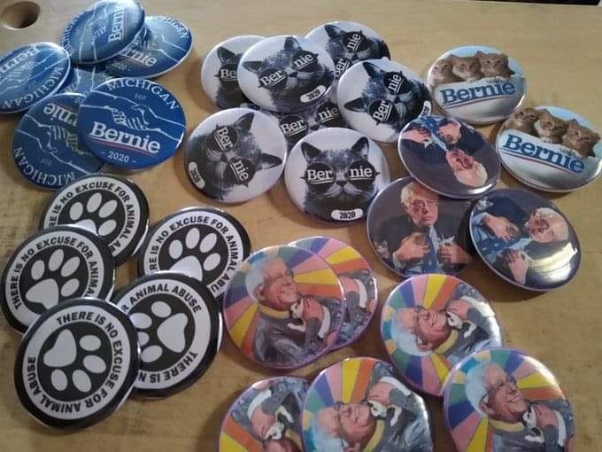 CentralMIBernie's tweet photo. @MORE4Bernie @PureMIRebecca @KLBrookshear  We had a great Bernie meeting with at the Kat Karma Cafe tonight in Mt. Pleasant, MI.  There is nothing better than hanging out with kitties and #OrganizingForBernie #FeelThePurr #Bernie2020 https://t.co/jl9L4wqDtk